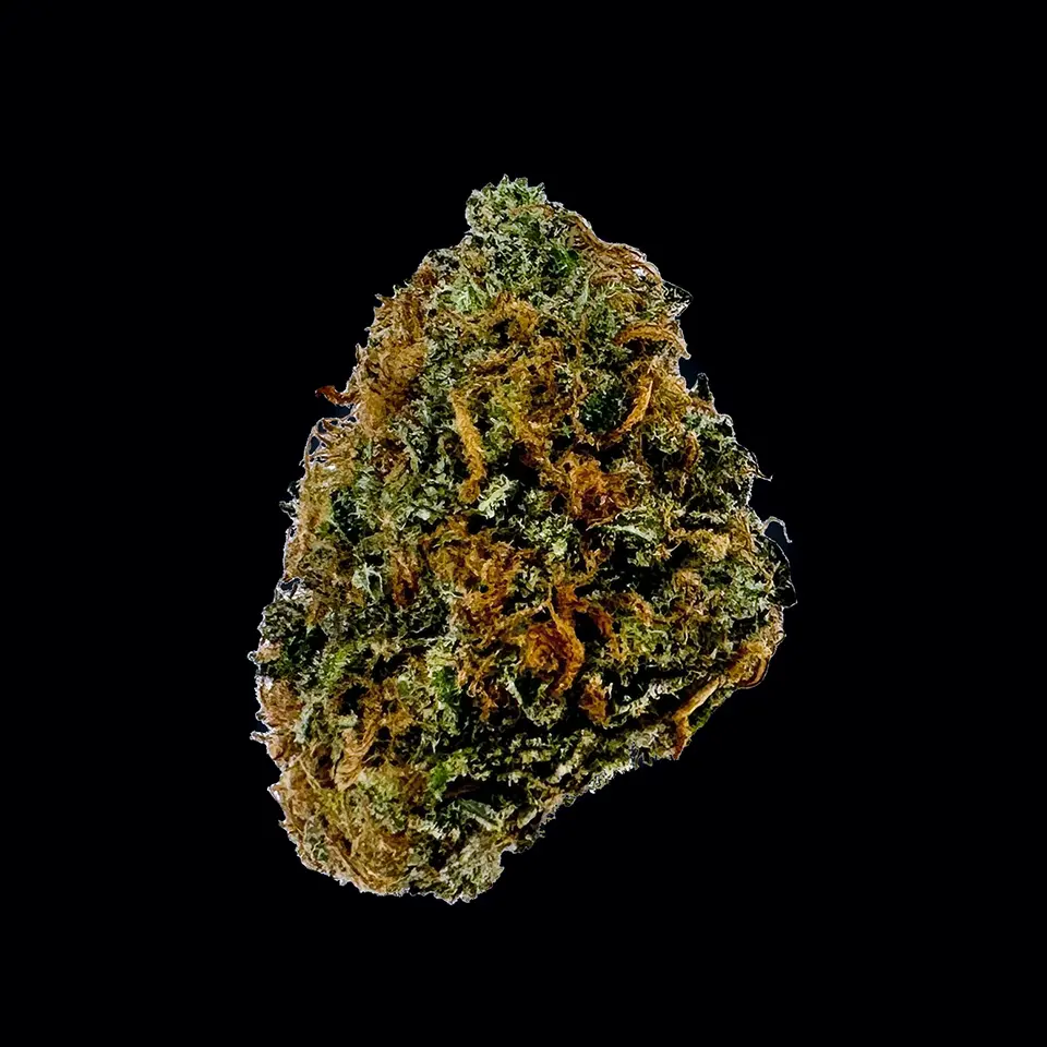 Cookies Strains Congo Kashmir