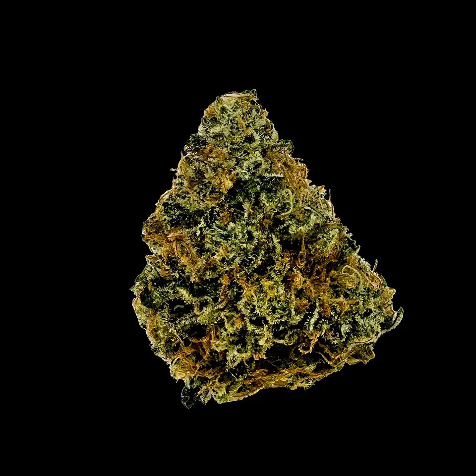 Cookies Strains Yellow Roses